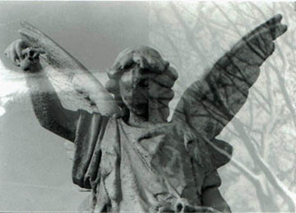 35mm black & white double exposure photo of a cemetery angel with tree branches superimposed.  Cemetery statue.