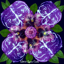 Digital photo collage of  brain scans made to look like a purple flower with collaged photos of pansies, a dandelion and green leaves around it. 