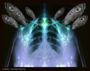 Mirror image of chest with ribs x-ray with shell wings with eyes above and photos of trees in the chest. Blues, greens, purples and black background. 