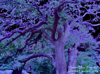 Bright blue, purple and green digital photo of a huge tree in the historic cemetery in Salem, MA. Textural and vivid.