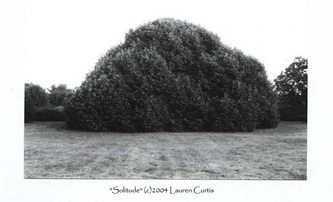 35mm black & white nature photo of a large, solitary, bush-like tree taken in Rutgers gardens in East Brunswick, NJ.