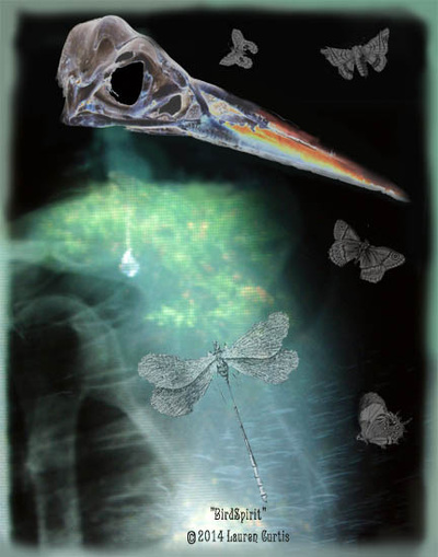 Chest & arm x-ray collaged with photo of a bird skull with long beak for the head and a Victorian dragonfly woodcut in the lungs. Butterfly and moth woodcuts around the figure. Greens and black.