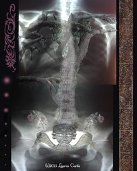 X-ray of a torso collaged with tree photo and Celtic patterns & a cemetery statue. Gothic art, spiritual image.