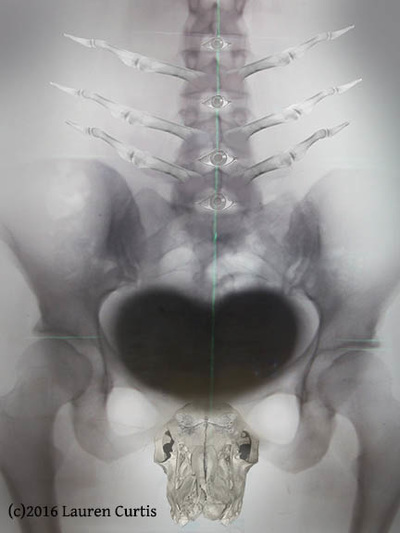Gothic black & white creature created from pelvis x-ray, finger bones, animal skull and black heart shape in center.  Eyes along the spine.